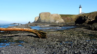 Yaquina Head