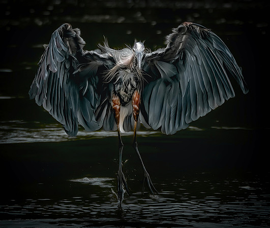 Walking On Water