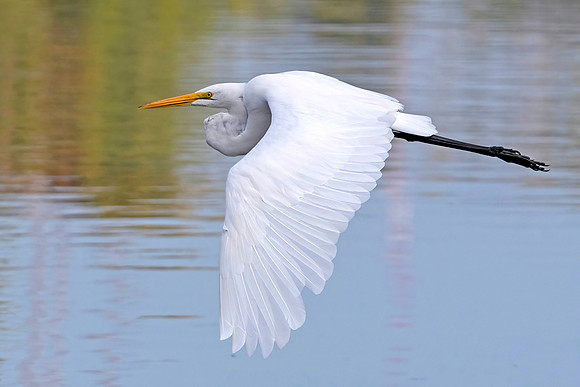 Ghost in Flight