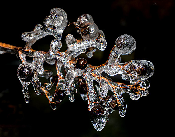 Ice Storm