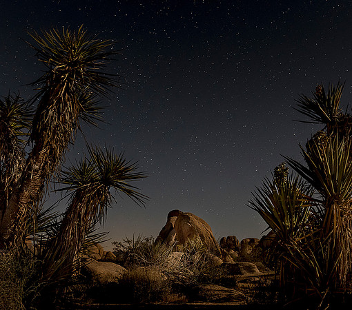 Framing the Stars
