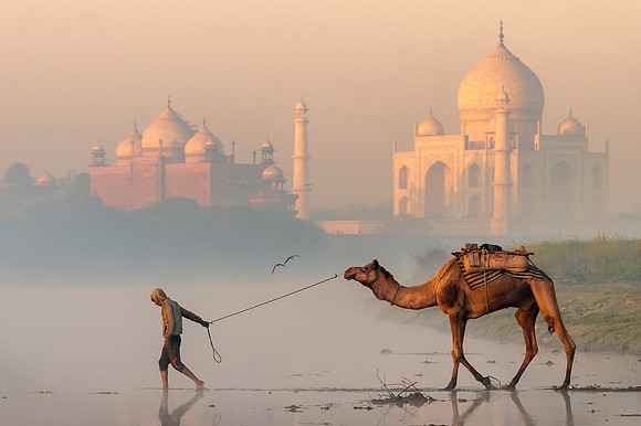 Morning Crossing