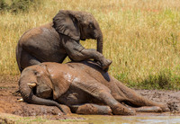 Mud Bath and a Massage