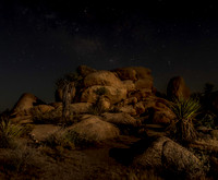 Nightfall in the Desert