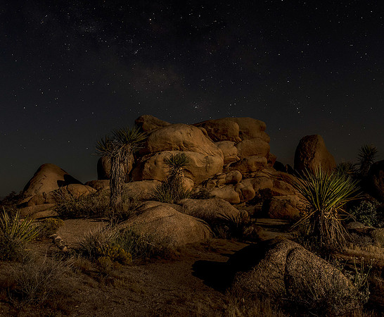 Nightfall in the Desert