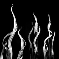 Glass Spirals