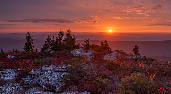 Sunrise Sunfire at Dolly Sods - 1st