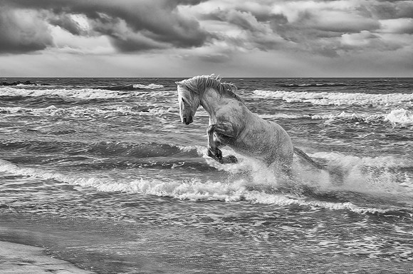 Born of the Surf - 1st