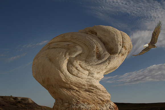 Nature's Configuration - 1st