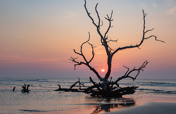 Sun Up