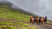 Escape to the Mountains
