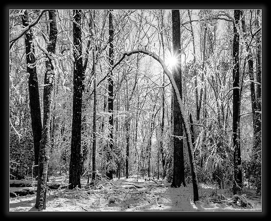 Sunlit Snowy Morning