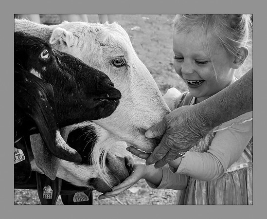 State Fair Girl