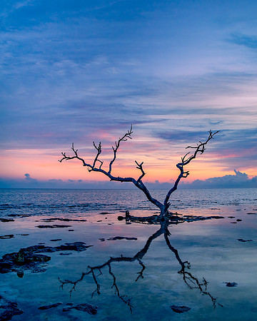 Coastal Ghost