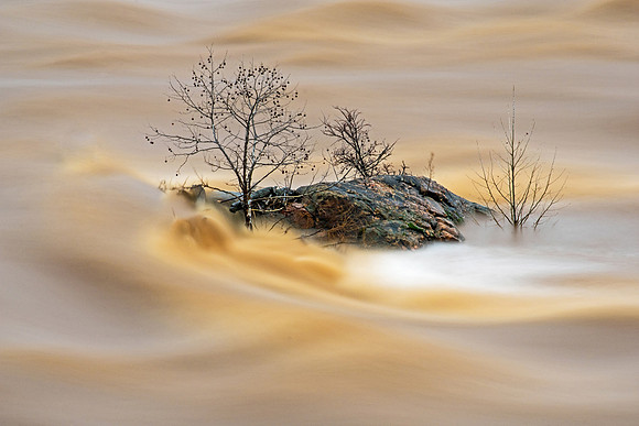 Dream Waves