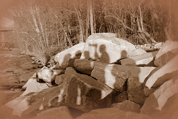 Shooting the Rapids