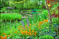 Monet's Lily Pond