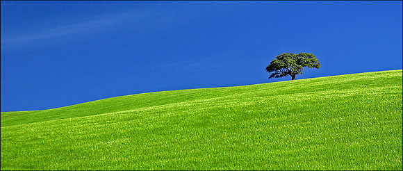 The Plains of Spain
