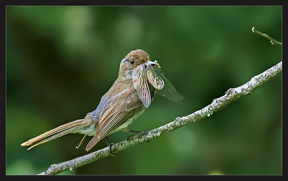 Need a Mouthwash - 1st