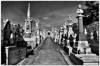 The Walk to the Pearly Gates