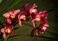Simply Beautiful!