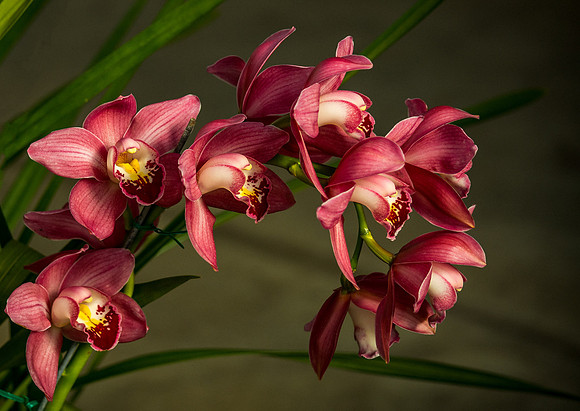 Simply Beautiful!