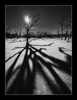 Sundown Shadows
