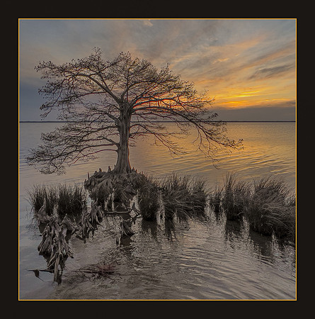 Currituck Sound Sunset