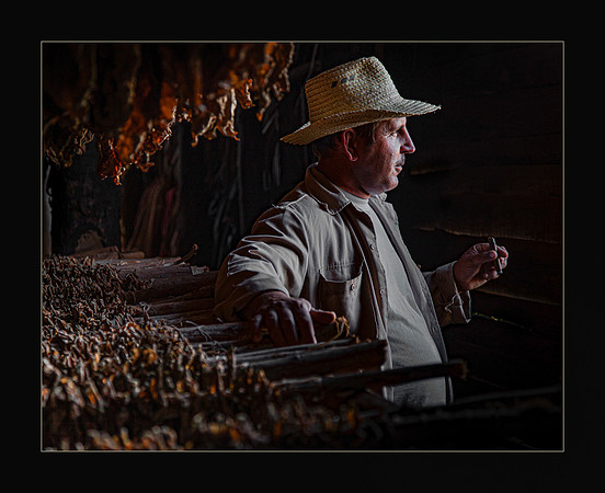 Cuban Tobacco Farmer - HM