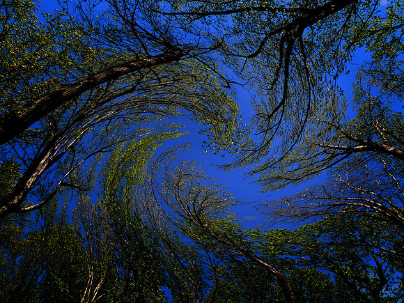 Vertigo
