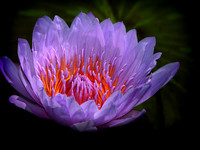 Inner Glow