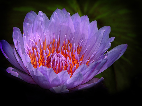 Inner Glow
