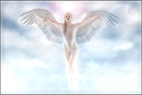 Angel Rising