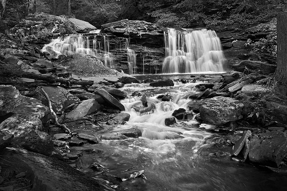 Falls of the Forest