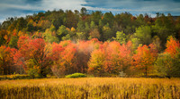 Fall Palette