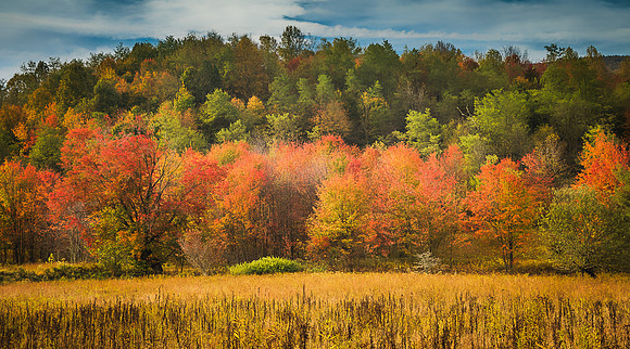 Fall Palette