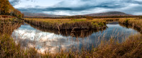 on the Blackwater trail