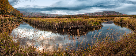 on the Blackwater trail