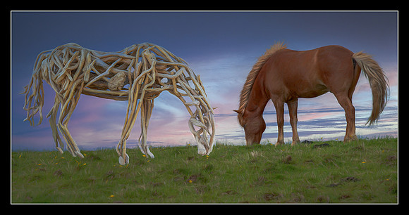 Grazing