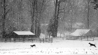 Heavy Snow in Hanover