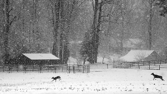 Heavy Snow in Hanover