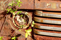 Light Extinguished