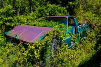 Chevy Jungle