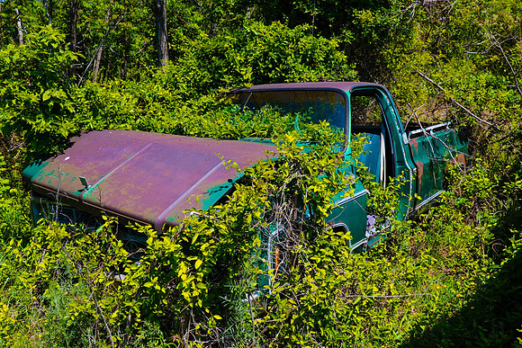 Chevy Jungle