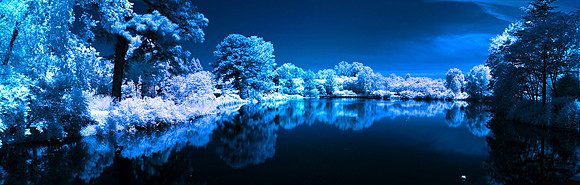 IR Lewis Ginter