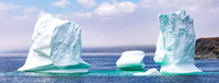 Goose Cove Iceberg - Newfoundland