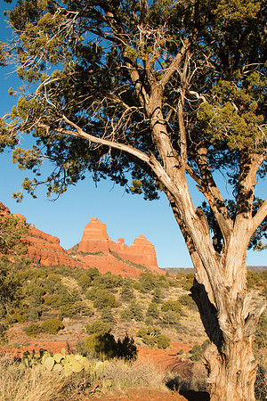 Red Rocks