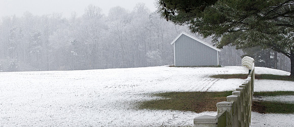 First Dusting