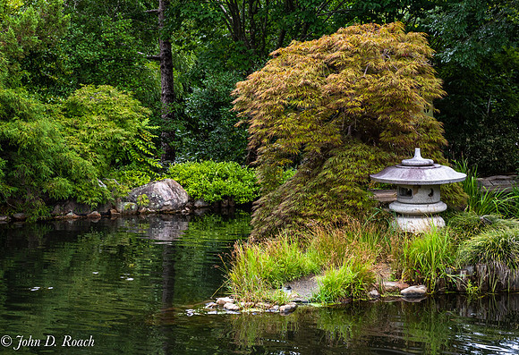 Ginter Tea House Garden