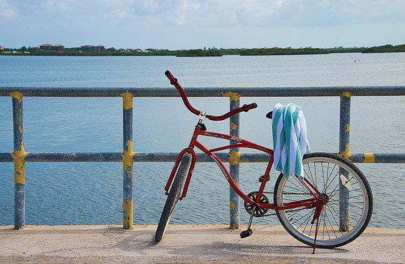 Alone For The Ride